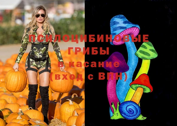 дурь Верхний Тагил
