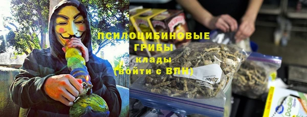 дурь Верхний Тагил