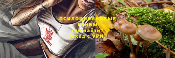 дурь Верхний Тагил