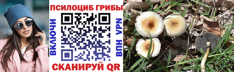 Псилоцибиновые грибы мицелий  Стерлитамак 